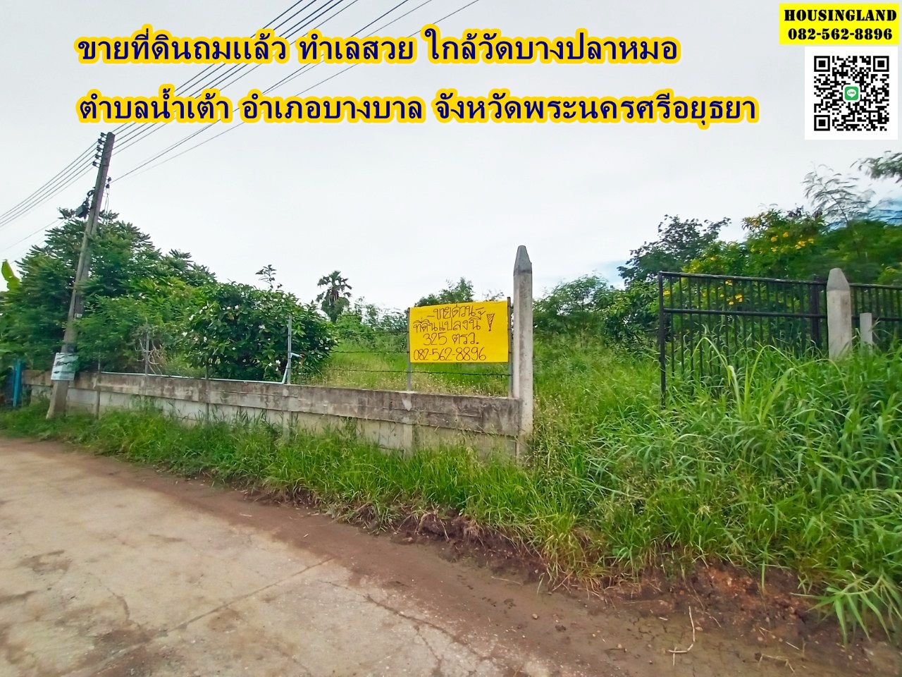 ขายที่ดินถมเเล้ว ทำเลสวย ใกล้วัดบางปลาหมอ ตำบลน้ำเต้า อำเภอบางบาล จังหวัดพระนครศรีอยุธยา 